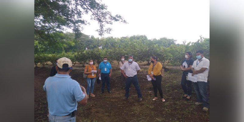 Centro Nacional de Investigaciones Agropecuarias “CNIA”- Managua- Instituto Nicaragüense de Tecnología Agropecuario - Managua