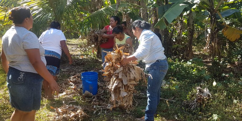 Pobladores fortalecen sus conocimientos  en el rubro aves y cerdos