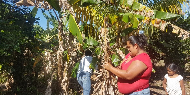 Pobladores fortalecen sus conocimientos  en el rubro aves y cerdos