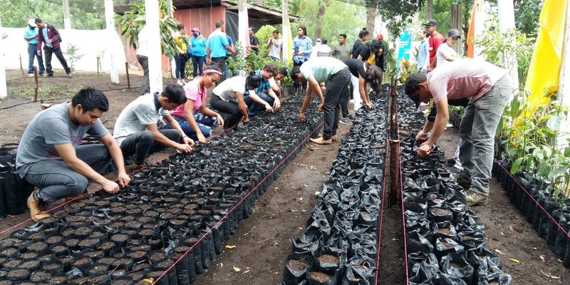 Inauguran vivero, "Ananas de Vida"