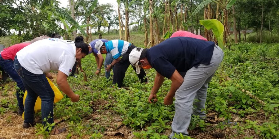 Intercambio sobre buenas prácticas para el inicio del Ciclo Agrícola
