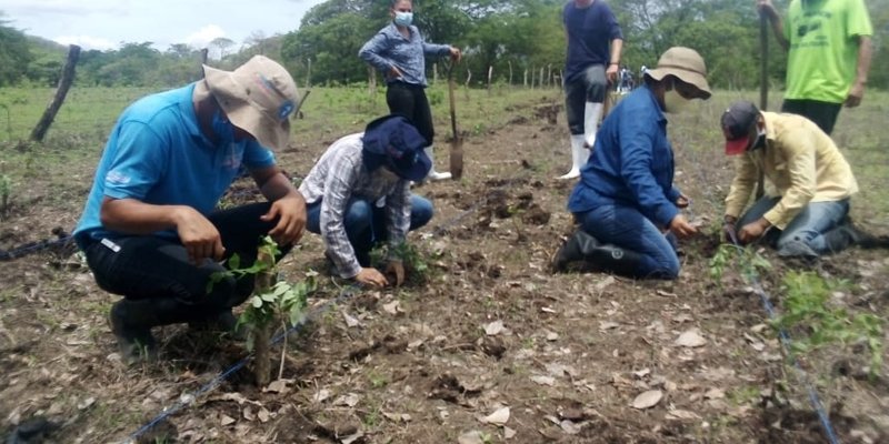 Centros Técnicos inician jornada de conmemoración del Día Mundial del Medio Ambiente