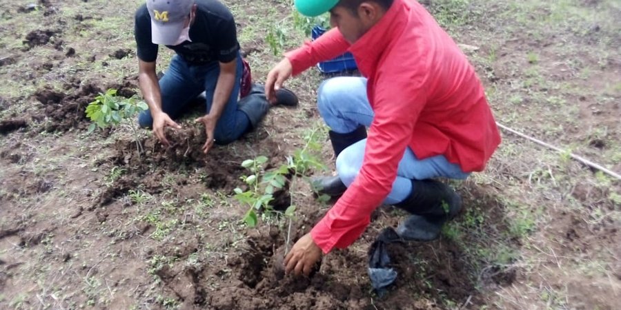 Centros Técnicos inician jornada de conmemoración del Día Mundial del Medio Ambiente