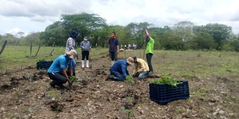 Centros Técnicos inician jornada de conmemoración del Día Mundial del Medio Ambiente