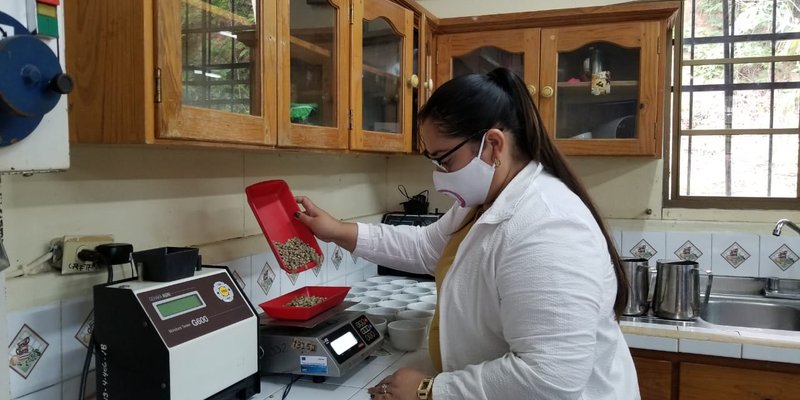 INATEC forma profesionales en Agroindustria del Café