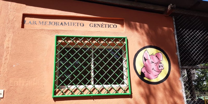 Nueva Unidad Didáctica de Inseminación Porcina para estudiantes de Chontales
