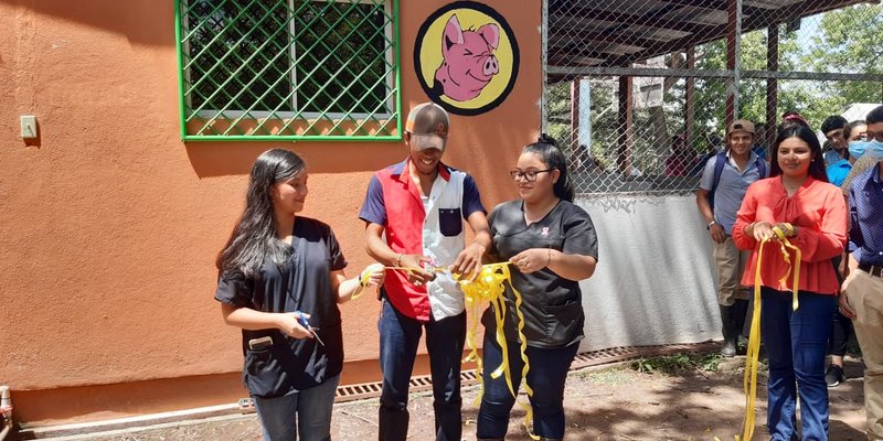 Nueva Unidad Didáctica de Inseminación Porcina para estudiantes de Chontales