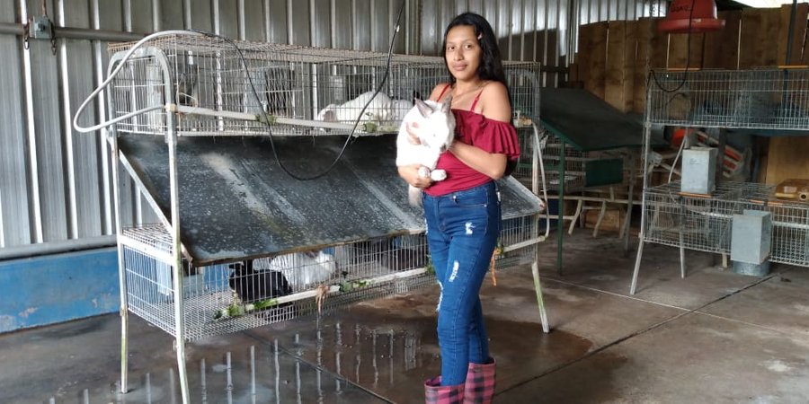 La educación técnica profesional como opción de desarrollo para la mujer en el campo