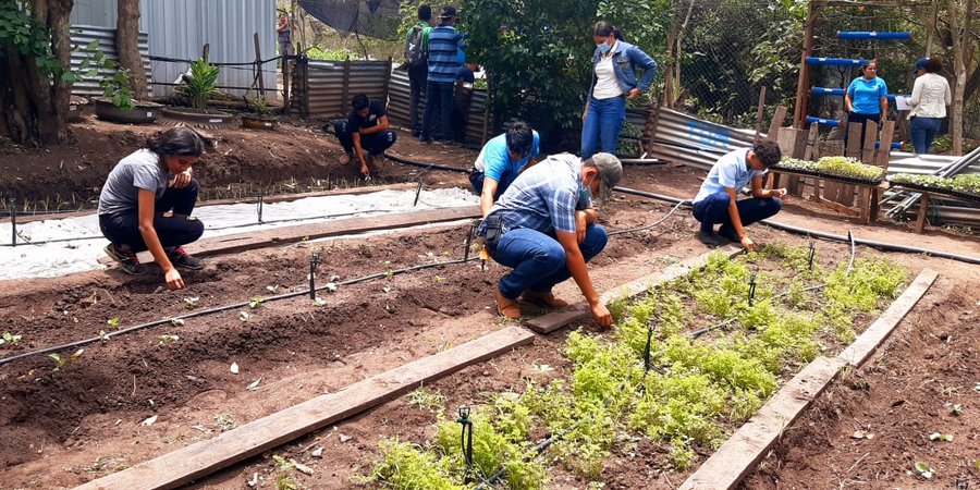 Estudiantes Técnicos establecen “Huertos de Mi Tecnológico”