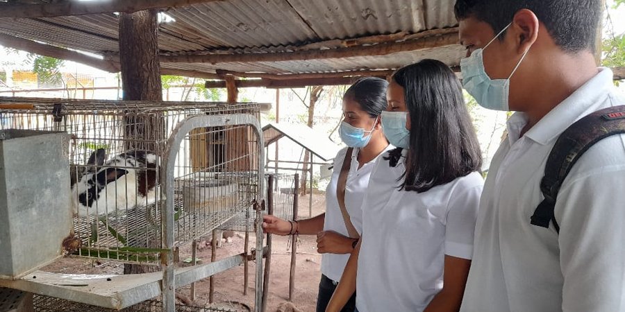 Realizan intercambio sobre Técnicas Especializadas en Reproducción Animal en Juigalpa