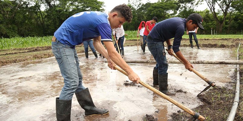 Parcelas Productivas: Espacios de Aprendizajes Reales