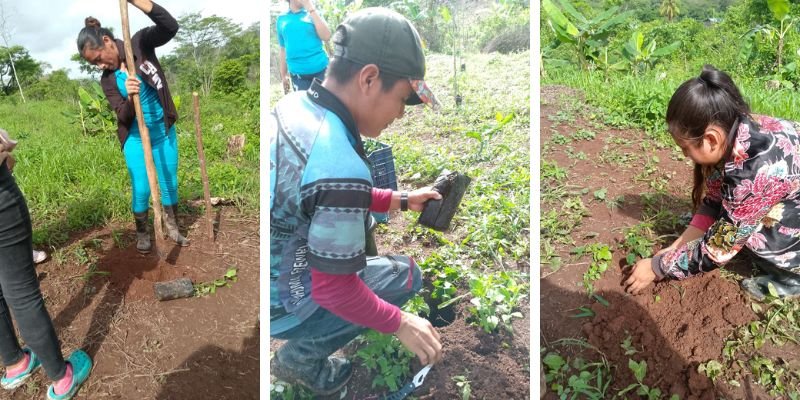 Sembrando Conciencia: Estudiantes Técnicos de Siuna realizan Jornada de Reforestación