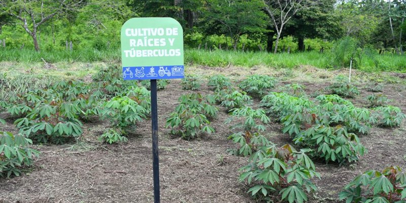 Gobierno Sandinista entrega Centro Tecnológico a comunidad de San Miguelito para la formación agropecuaria