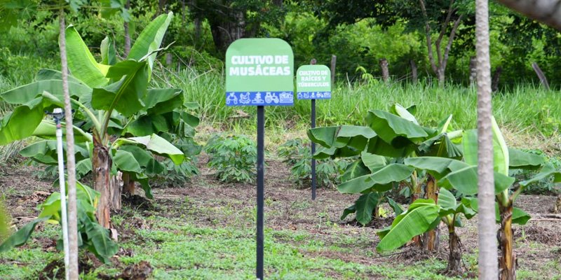Gobierno Sandinista entrega Centro Tecnológico a comunidad de San Miguelito para la formación agropecuaria