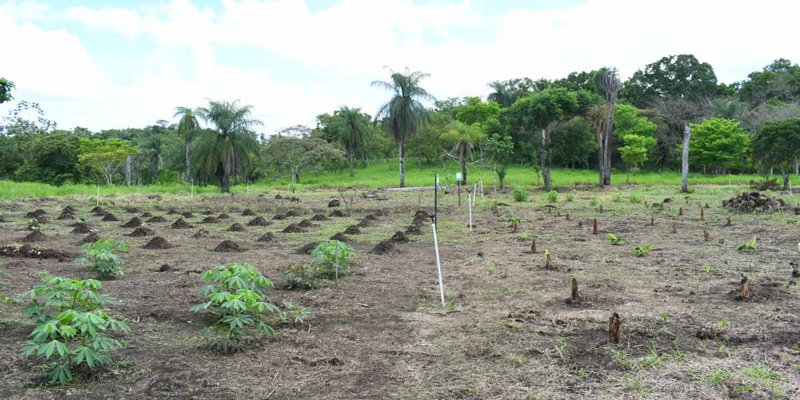 Gobierno Sandinista entrega Centro Tecnológico a comunidad de San Miguelito para la formación agropecuaria
