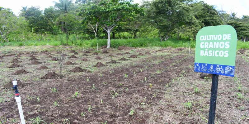 Gobierno Sandinista entrega Centro Tecnológico a comunidad de San Miguelito para la formación agropecuaria