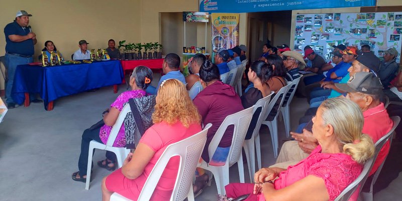 Caficultores de Santo Domingo en Telpaneca, certifican sus conocimientos empíricos