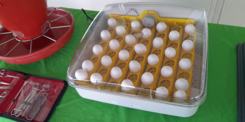 Circuito productivo en Masaya