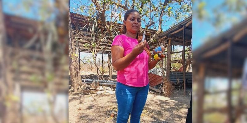 Fortaleciendo la producción desde las Escuelas Técnicas de Campo