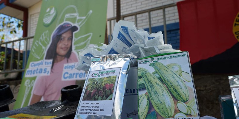 De las aulas al campo: jóvenes de San Francisco Libre aprenden a producir su propio futuro