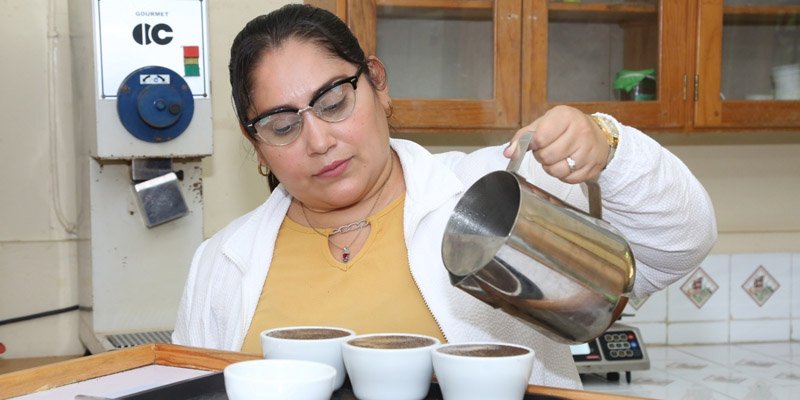 ¿Qué es la Escuela Nacional del Café?