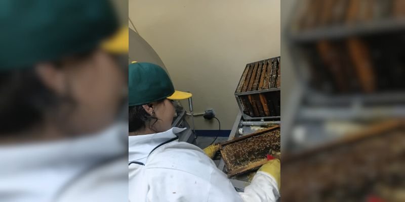 El Sauce: Margeli Nicole y el dulce liderazgo que nace en el campo