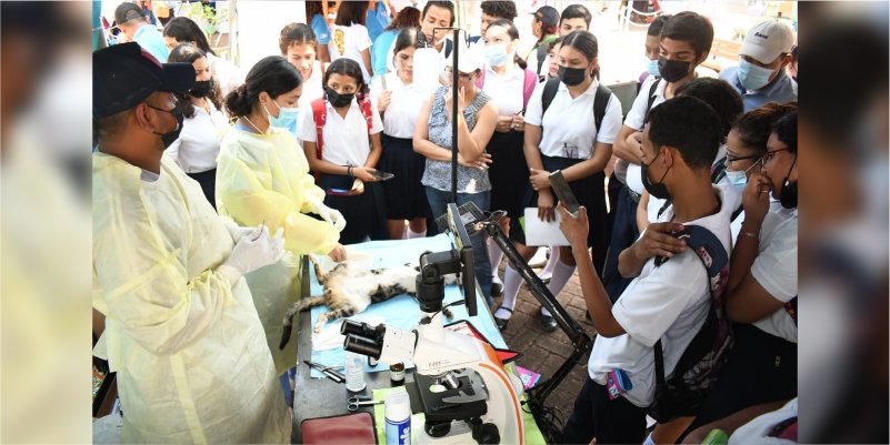 Realizan festival departamental para promover carreras técnicas y tecnológicas