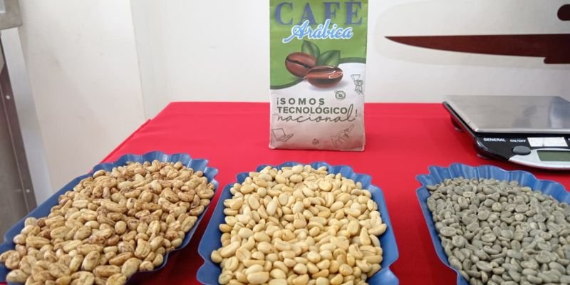 Festival del Café reúne a 100 protagonistas en homenaje al legado educativo del General Sandino