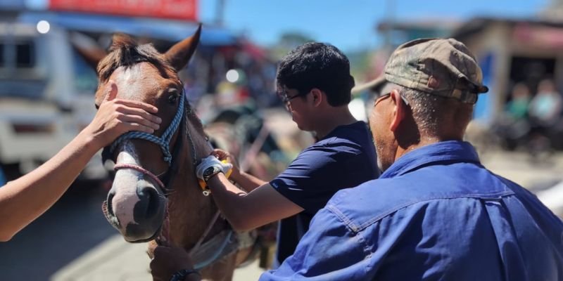 Festival Open Tech Agropecuario en Jalapa: Estudiantes proyectan sus aprendizajes al servicio de la comunidad
