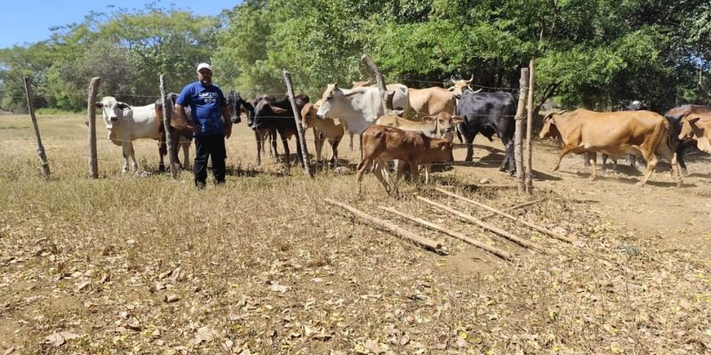 “Manuel Landez Rojas:  El Centro Tecnológico que Cosecha Emprendimiento”
