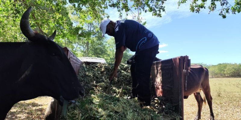 “Manuel Landez Rojas:  El Centro Tecnológico que Cosecha Emprendimiento”