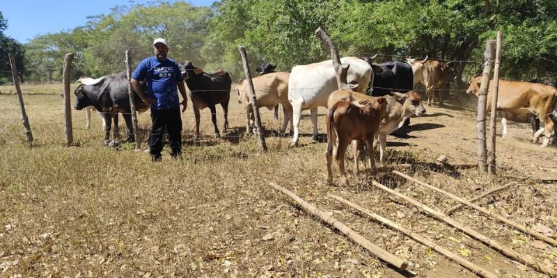 “Manuel Landez Rojas:  El Centro Tecnológico que Cosecha Emprendimiento”