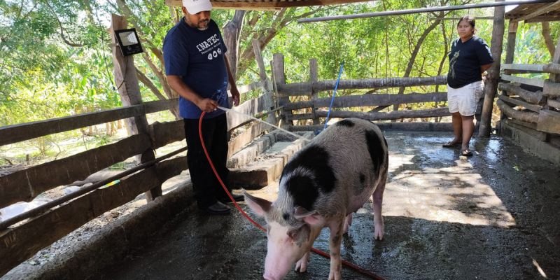 “Manuel Landez Rojas:  El Centro Tecnológico que Cosecha Emprendimiento”