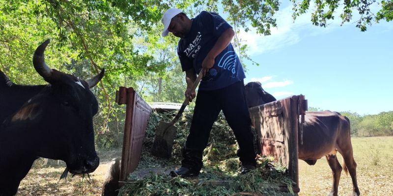 “Manuel Landez Rojas:  El Centro Tecnológico que Cosecha Emprendimiento”