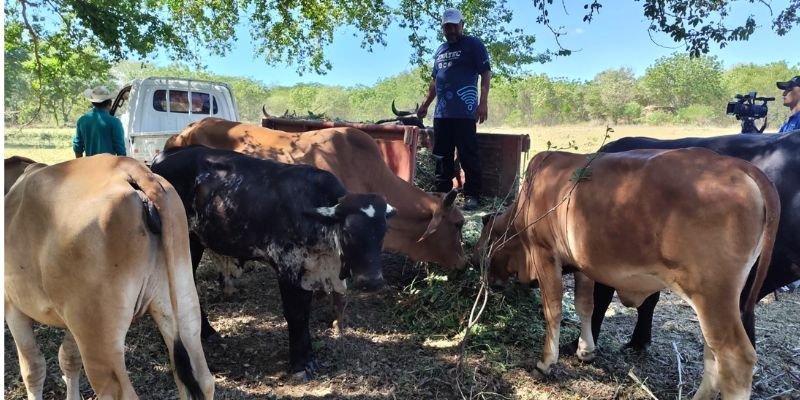 “Manuel Landez Rojas:  El Centro Tecnológico que Cosecha Emprendimiento”