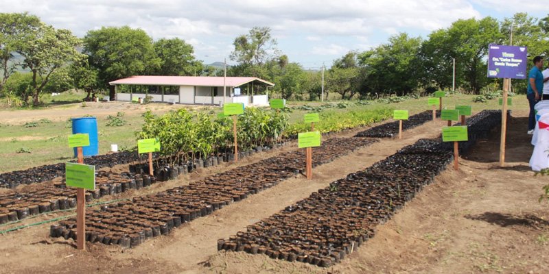 Desde la Educación técnica nace un nuevo Pulmón Verde en Masaya