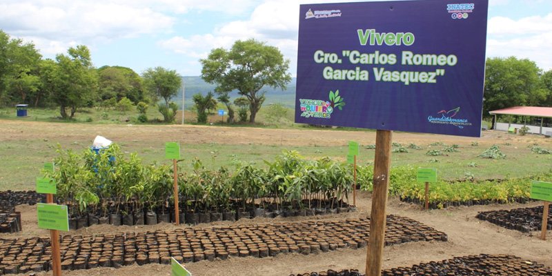Desde la Educación técnica nace un nuevo Pulmón Verde en Masaya