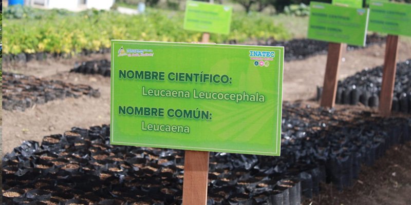 Desde la Educación técnica nace un nuevo Pulmón Verde en Masaya
