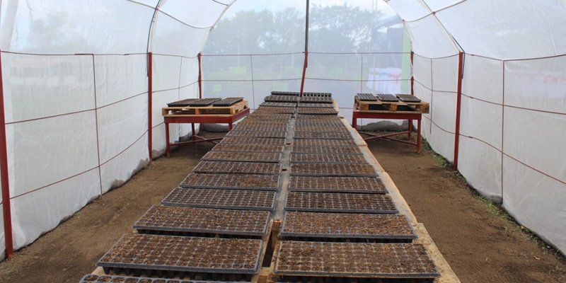 Desde la Educación técnica nace un nuevo Pulmón Verde en Masaya