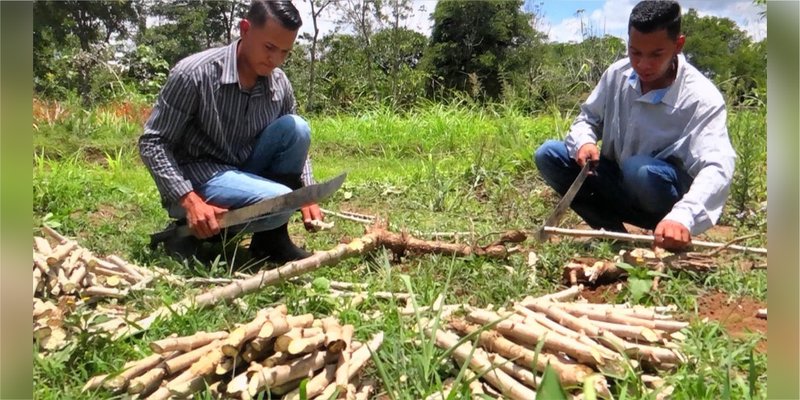 Centro Tecnológico de Jalapa prepara a los futuros   Profesionales en Agronomía