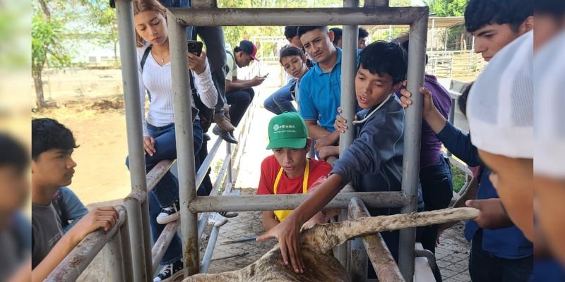 Futuros técnicos fortalecen sus habilidades para el trabajo en el campo