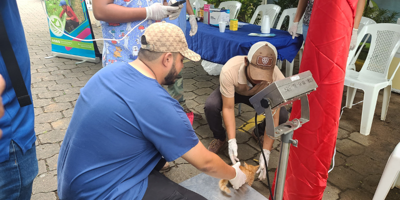Jornada veterinaria de la educación técnica