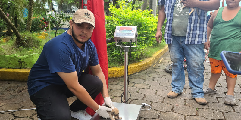 Jornada veterinaria de la educación técnica