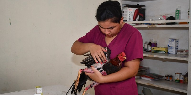 Jóvenes que inspiran: Katia Martínez, un ejemplo de éxito en la Educación Técnica