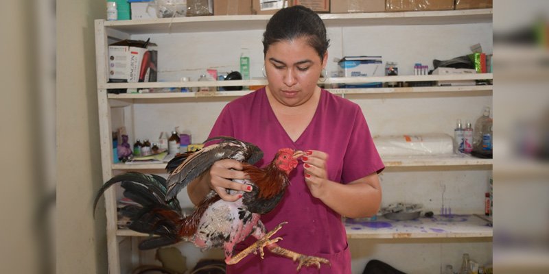 Jóvenes que inspiran: Katia Martínez, un ejemplo de éxito en la Educación Técnica