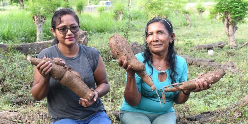 Más de 45,000 jóvenes y productores se capacitarán con el Programa Educación Técnica en el Campo