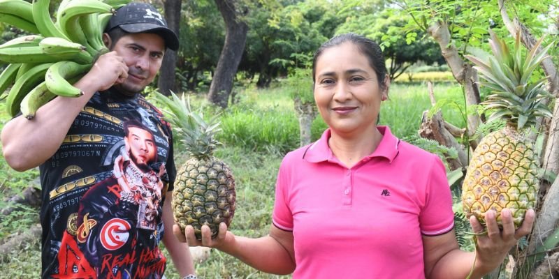 Más de 45,000 jóvenes y productores se capacitarán con el Programa Educación Técnica en el Campo