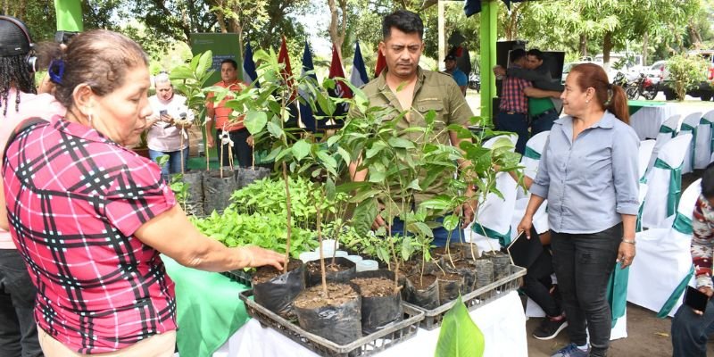 Más de 45,000 jóvenes y productores se capacitarán con el Programa Educación Técnica en el Campo