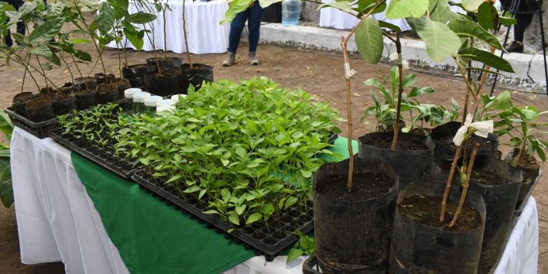Más de 45,000 jóvenes y productores se capacitarán con el Programa Educación Técnica en el Campo