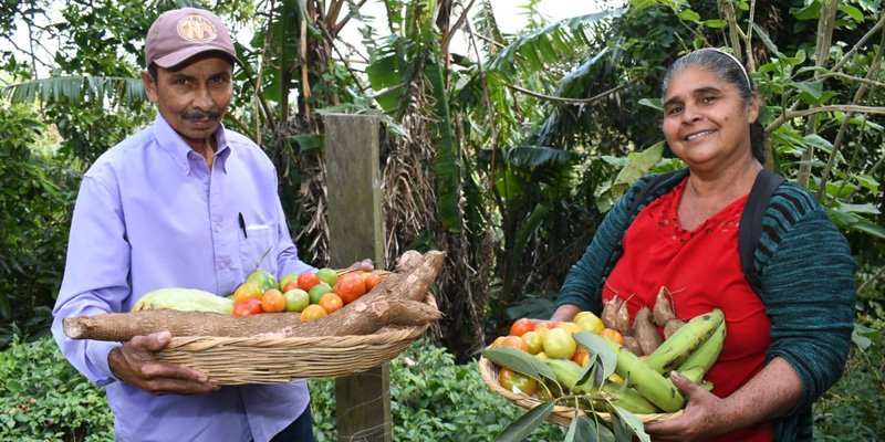 Lanzan Programa Educación Técnica en el Campo el que atenderá a 43,500 productores este año